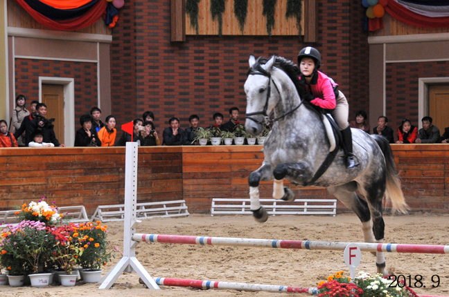 9-인민의 문화정서생활기지-미림승마구락부